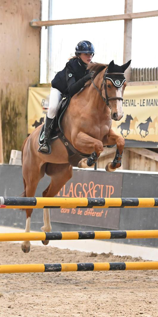 competitions-1