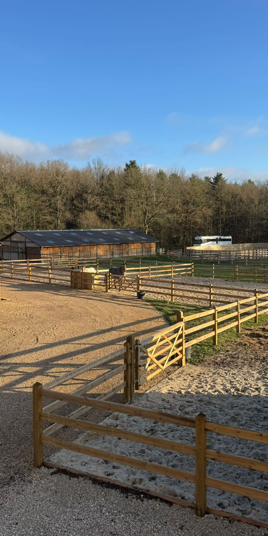 installations-elevage-chevaux