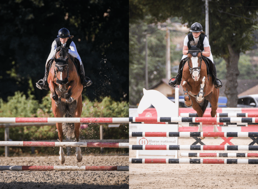 Classic Girl Z et Jerico des Forêts au CIR de Cluny 2025