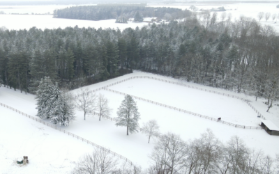 ❄️ Les écuries sous la neige : une parenthèse hivernale à l’Élevage de la Robardière