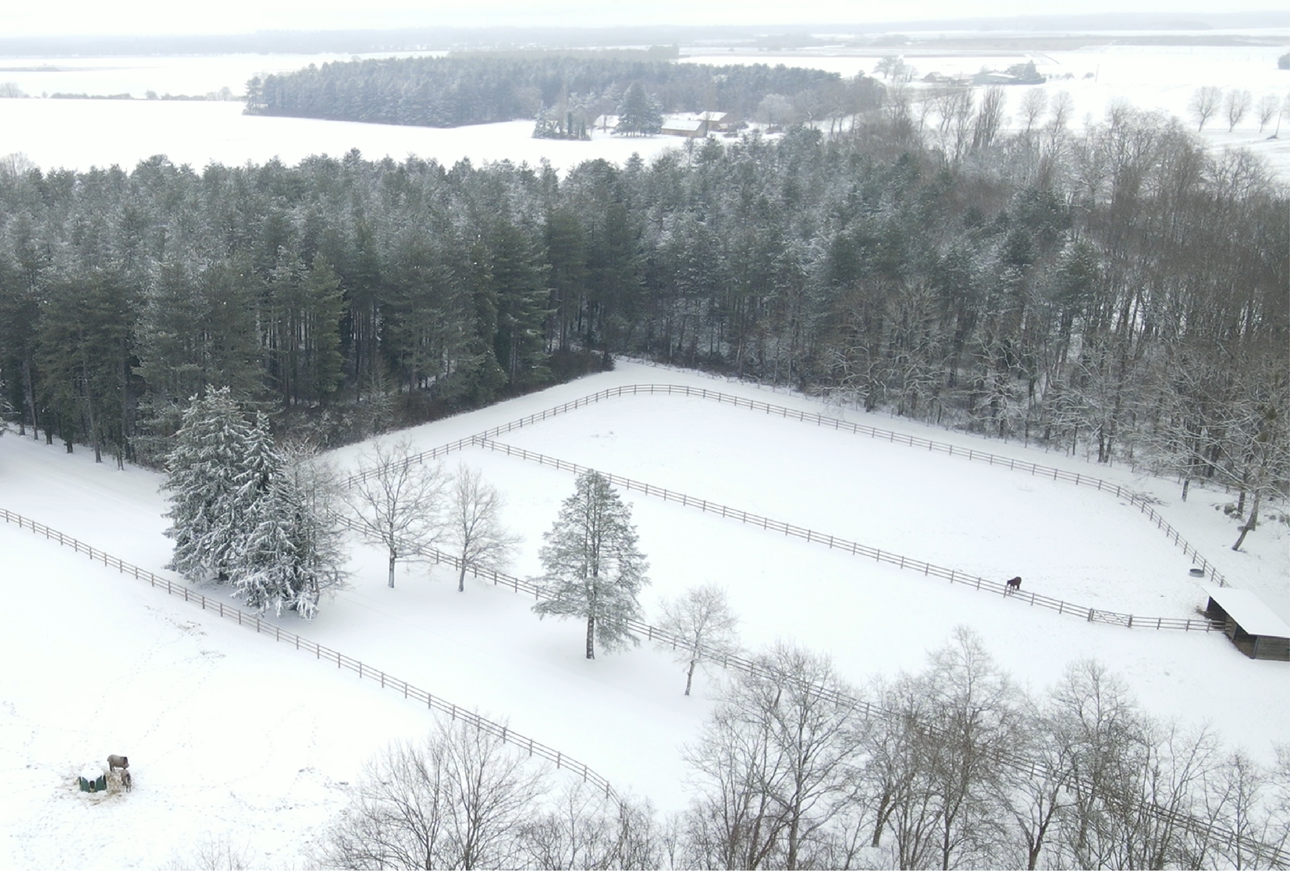 Paysage Neige Robardière janvier 2026 Paysage Neige Robardière janvier 2026