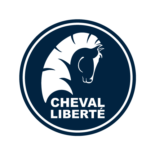 cheval-liberte-color-500 Travail éthique d'un jeune cheval par la cavalière de l'élevage de La Robardière en région Centre, France