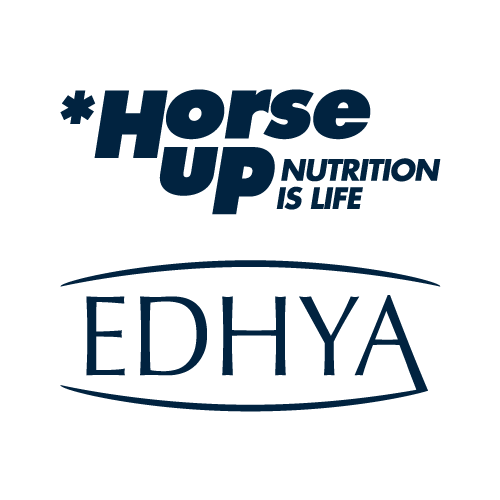 horse-up-edhya-groupe-bernard-color-500 Moment de complicité entre la cavalière et un cheval de l'élevage de La Robardière