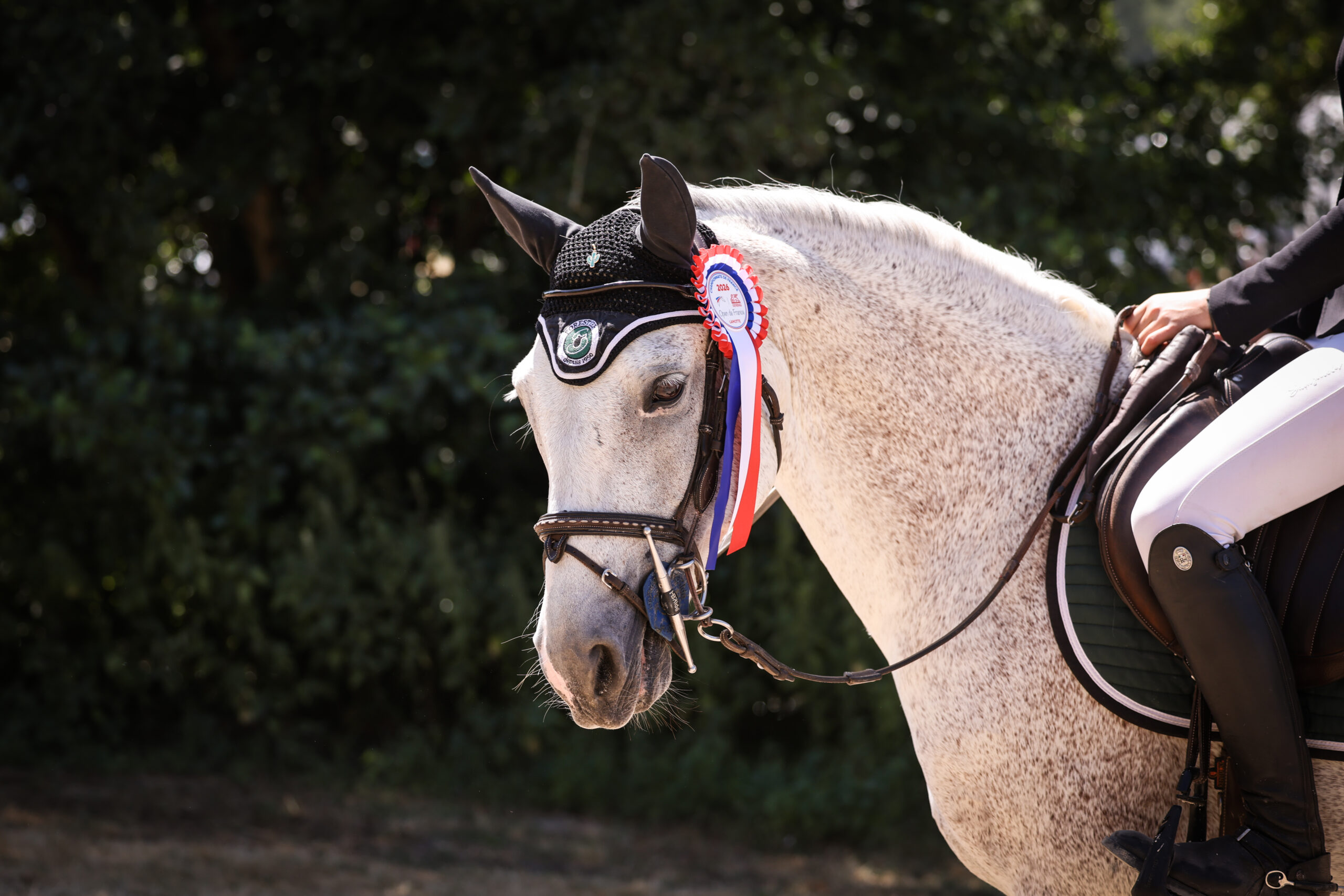 Ever El Faras & Lise Lingard - Championnats de France Lamotte Beuvron